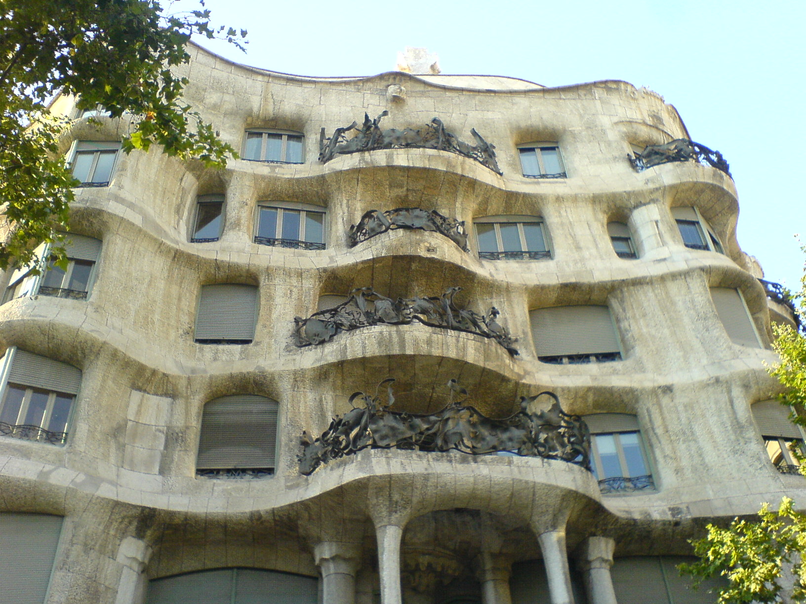 Dsc03667