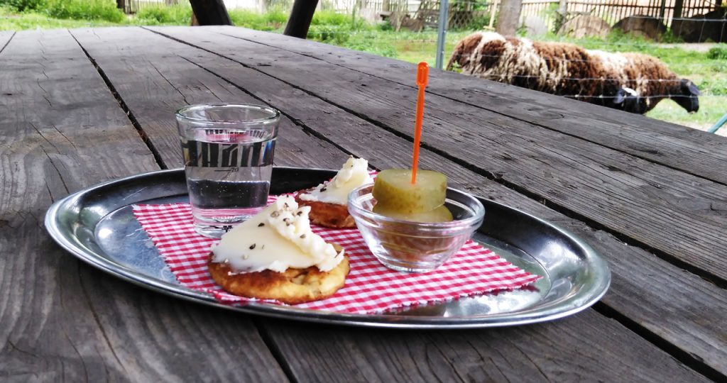 Tnd karpatengedeck gastronomie innovation